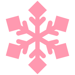 Christmas icon