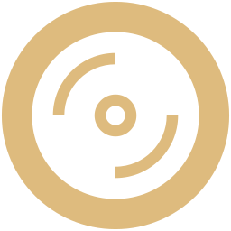 Medical disk icon