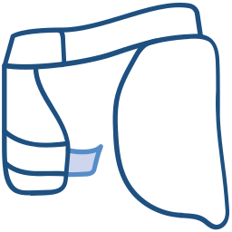 Thigh pad icon