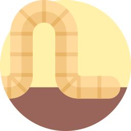 Worm icon