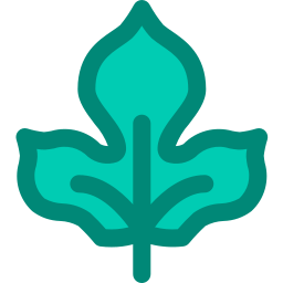 Leaf icon