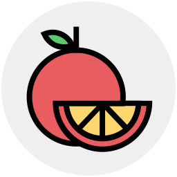 Fruit icon