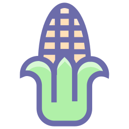 Vegetables icon