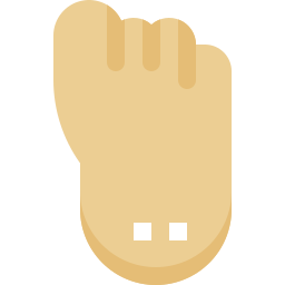 Feet icon