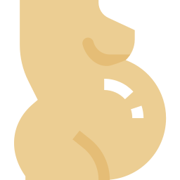 Embarazada icono