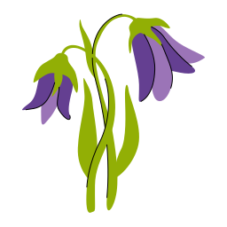 fleur de jacinthe des bois Icône
