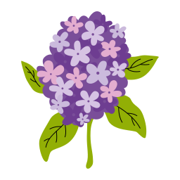 lila icono