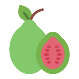 guave icon