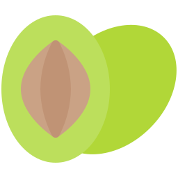 oliwna pestka ikona