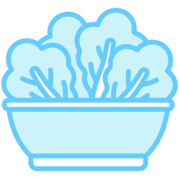 Salad bowl icon