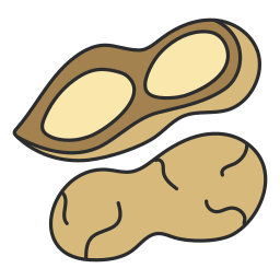 cacahuètes Icône