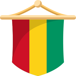 drapeau de la guinée Icône