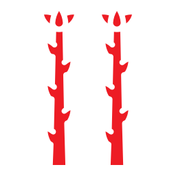 Asparagus icon