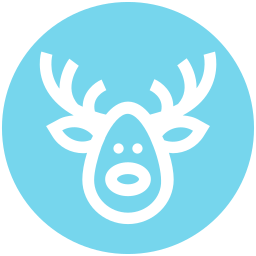 Christmas icon