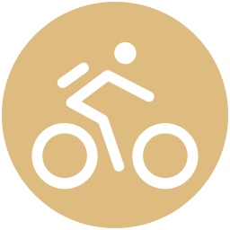 Cyclist icon