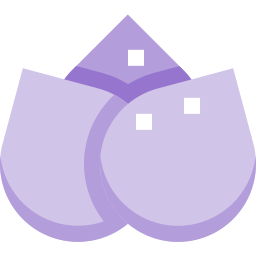 Lotus icon