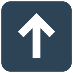 Arrow icon