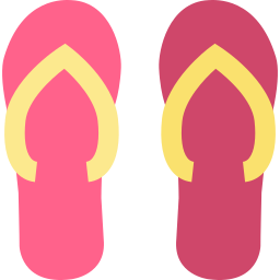 flip flops icon