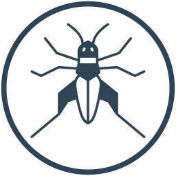 Insect icon