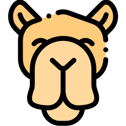 wielbłąd ikona