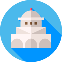 regierung icon