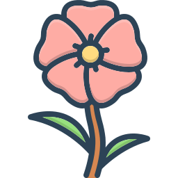 Malvaceae icon