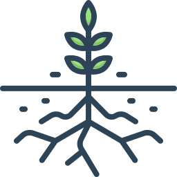 raíz icono