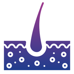 Integumentary system icon