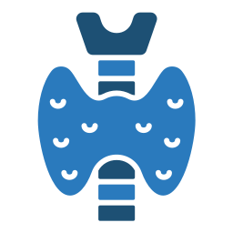 endocrino icono