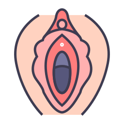 baarmoeder icoon