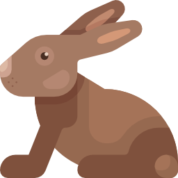 Rabbit icon