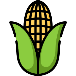 Corn icon