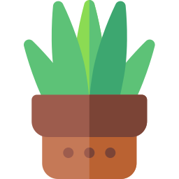 Sansevieria trifasciata icono