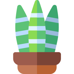 Sansevieria trifasciata icono