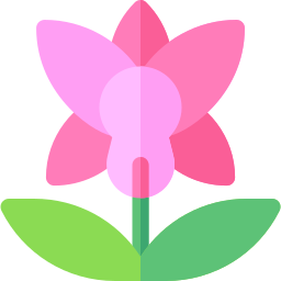 Orchid icon