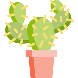 cactus icoon