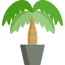 Palm icon