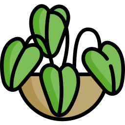 Planta icono