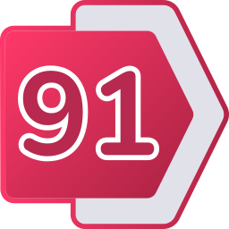 91 icono