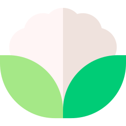 Couve-flor Ícone