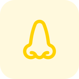 器官 icon