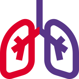 cuidado de la salud icono