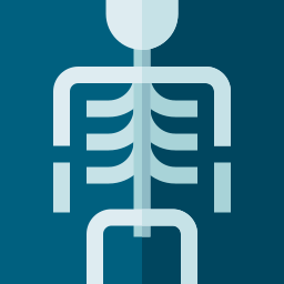 X ray icon