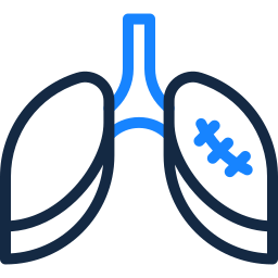 Lungs icon