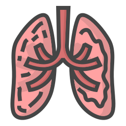 problema de los pulmones icono