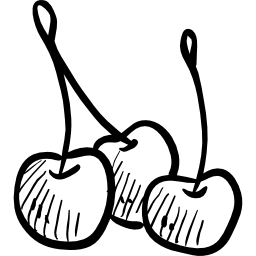 버찌 icon