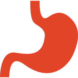 Stomach icon