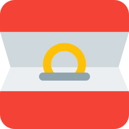 Ring icon