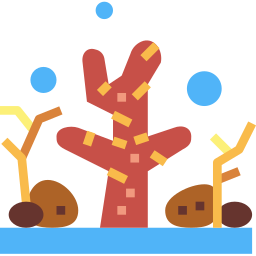 Coral icon