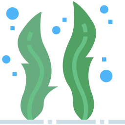 Alga marina icono
